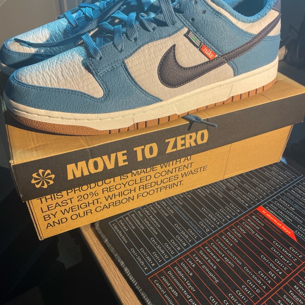 Nike Blue and White Sneakers